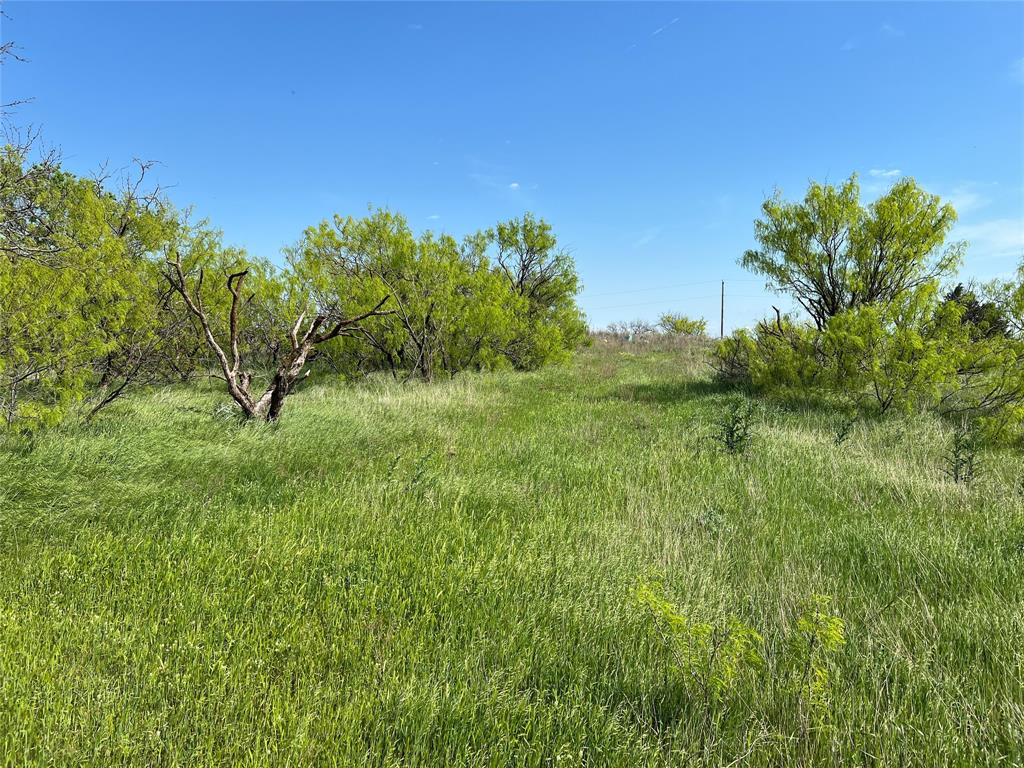 9315 Highway 79 Wichita Falls, TX 76310 - Photo 6 of 29 View of nature