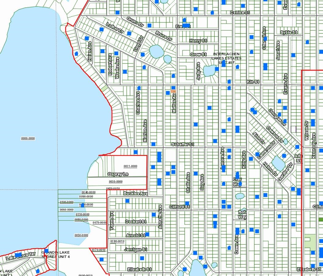 0 Maltas Avenue Interlachen, FL 32148 - Photo 3 of 6