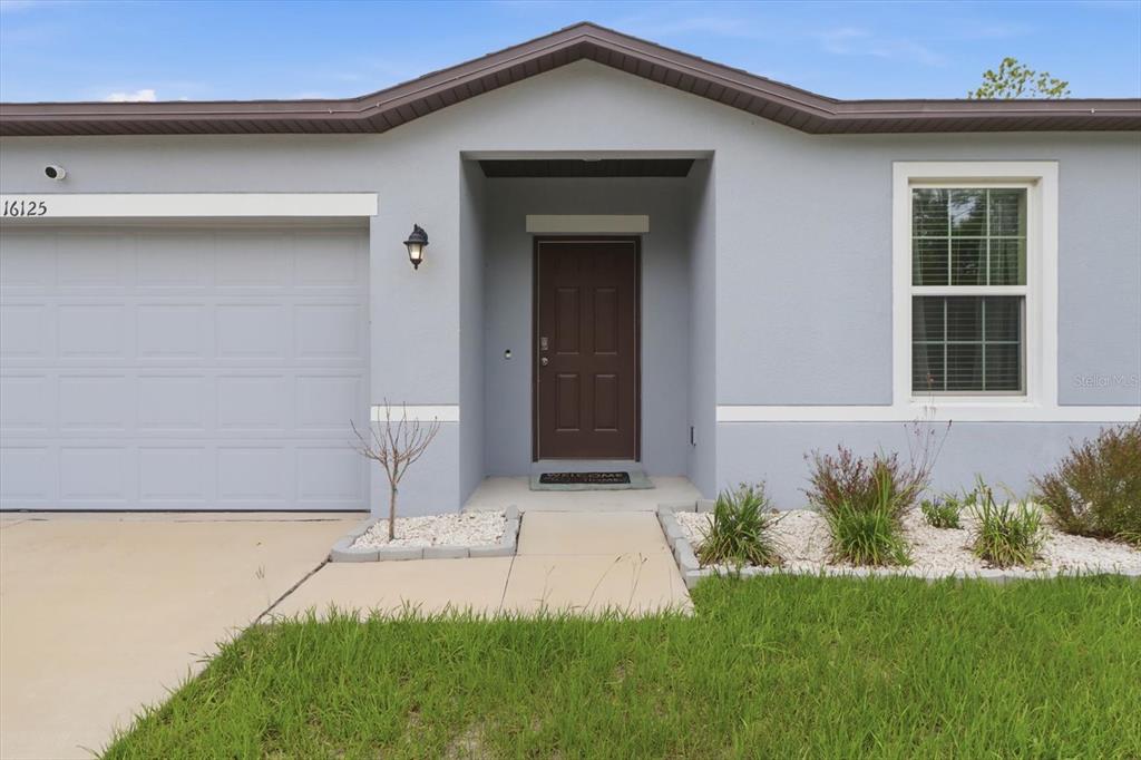 16125 Magpie Road Weeki Wachee, FL 34614 - Photo 6 of 50