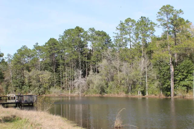 $30,000 | Lot 22 Honey Lane, Crestview, FL 32539
