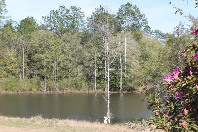$30,000 | Lot 22 Honey Lane, Crestview, FL 32539