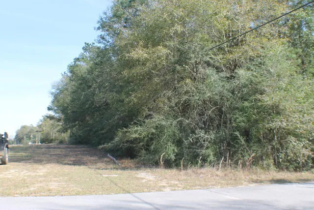 $30,000 | Lot 22 Honey Lane, Crestview, FL 32539