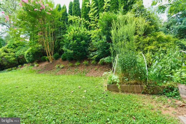 a backyard of a house with lots of green space and chair