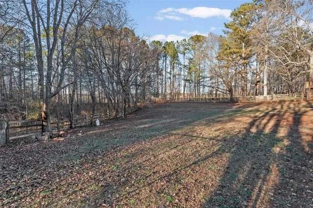 a view of a yard with a trees