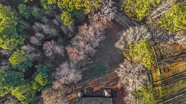 a view of a tree in a yard with a house