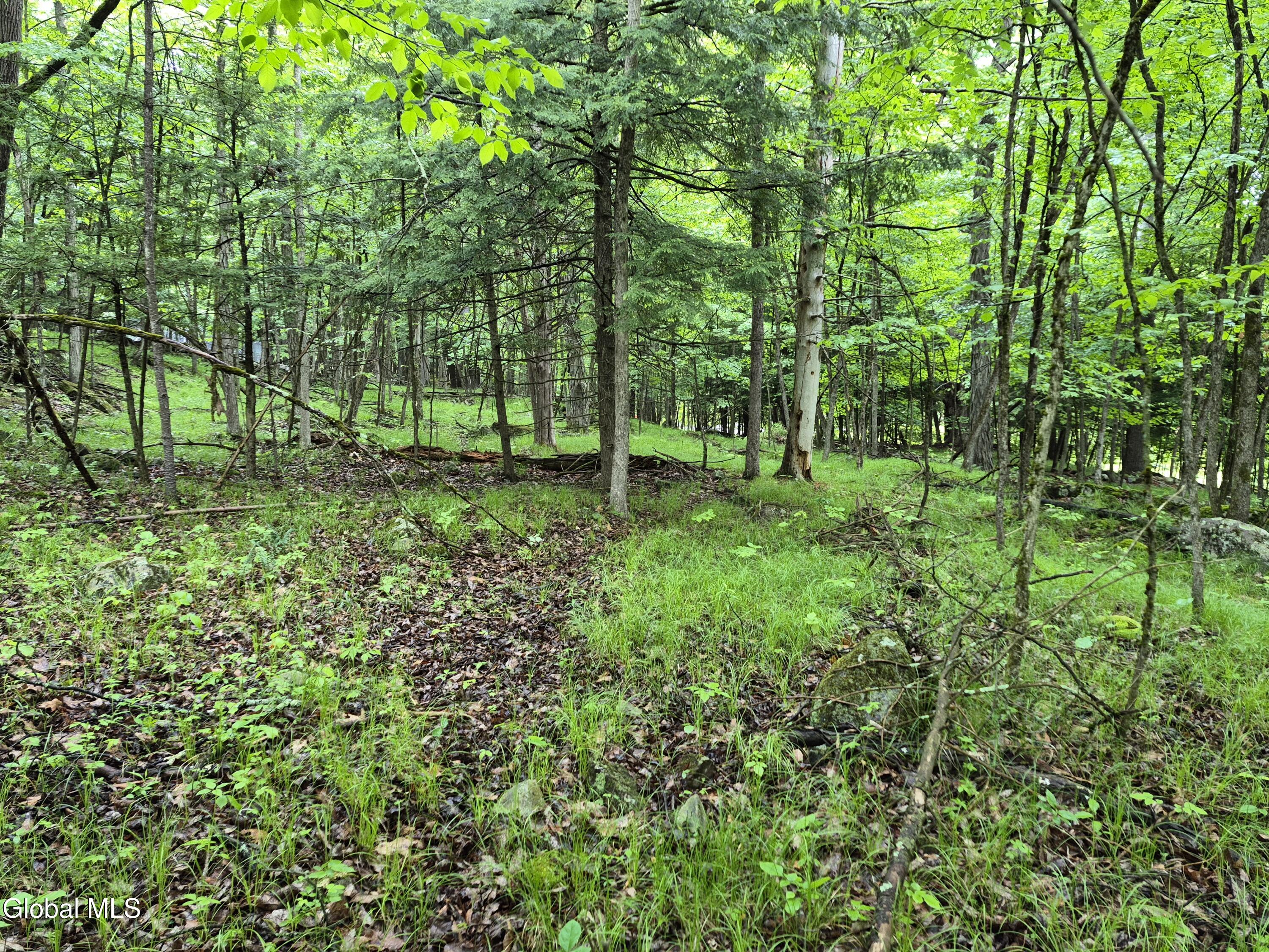 L1.2 Goodman Road Fort Ann, NY 12827 - Photo 19 of 20 20260530_110544
