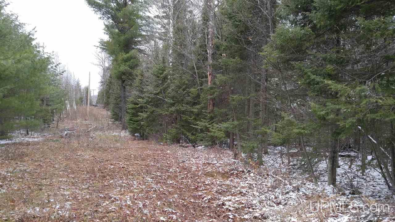 73-acres Co Rd 480 Marquette, MI 49855 - Photo 16 of 18