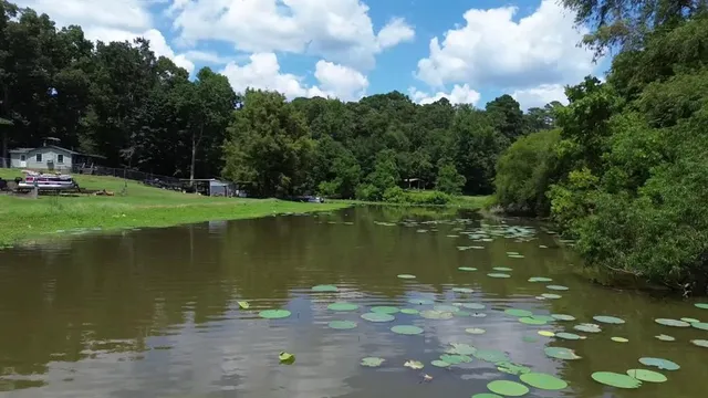 a view of a lake from a yard