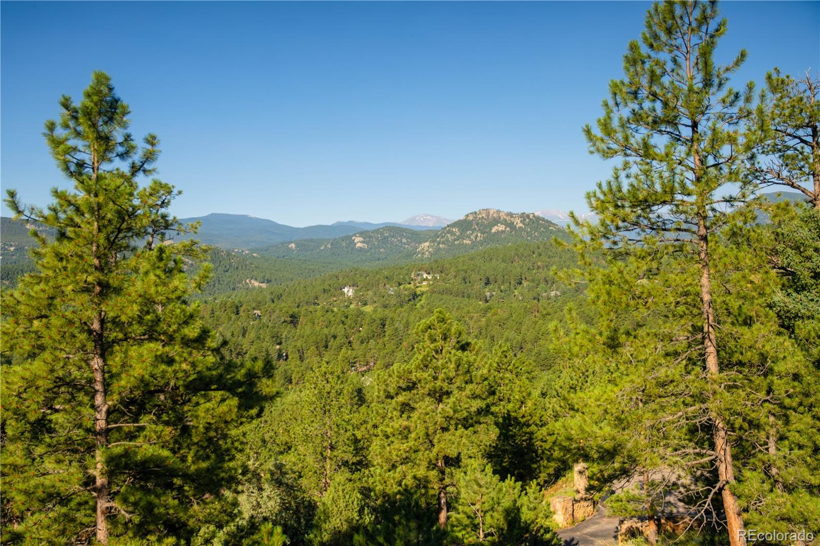 28843 Wild Rose Drive Evergreen, CO 80439 - Photo 14 of 37