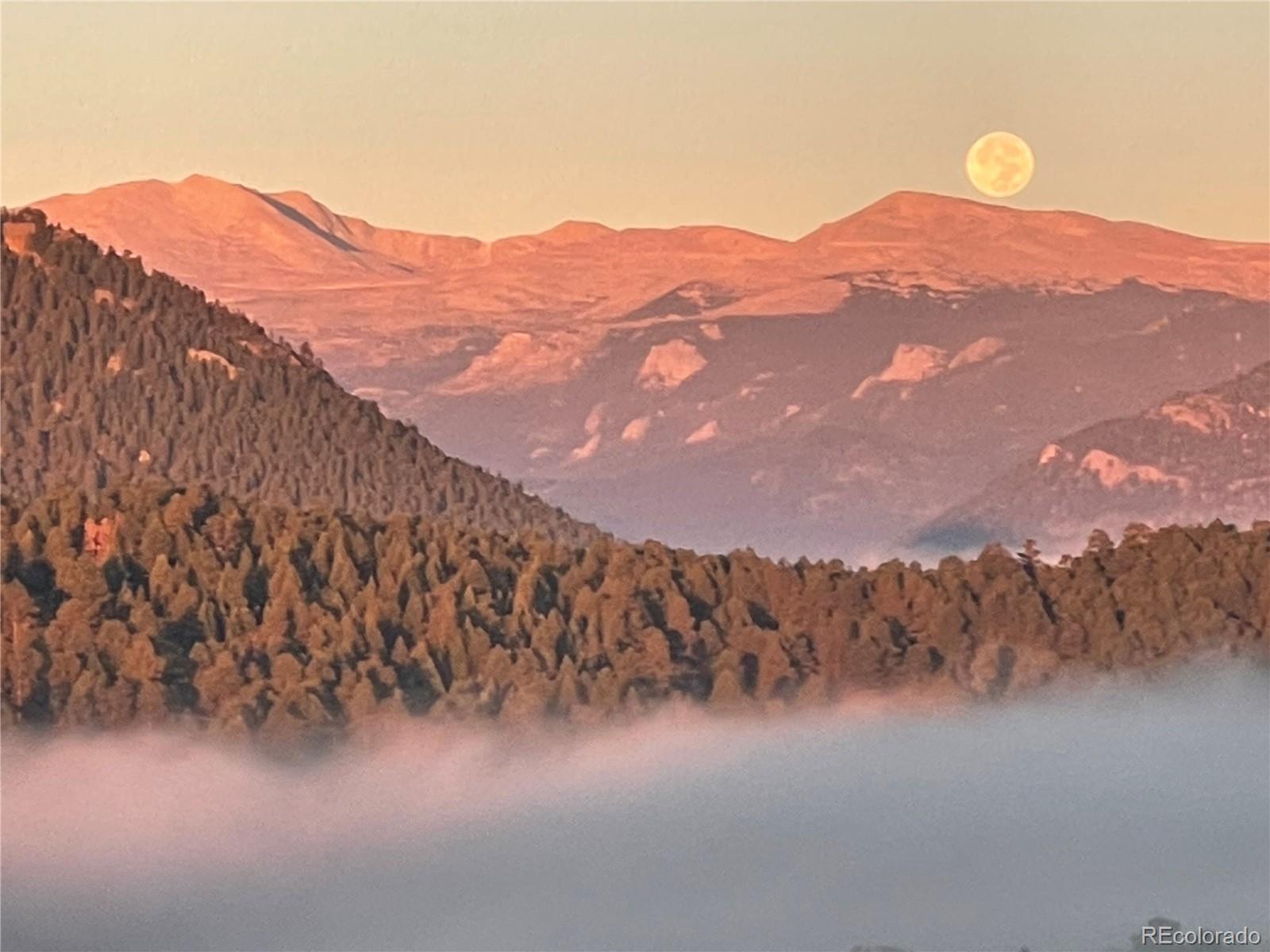 28843 Wild Rose Drive Evergreen, CO 80439 - Photo 34 of 37