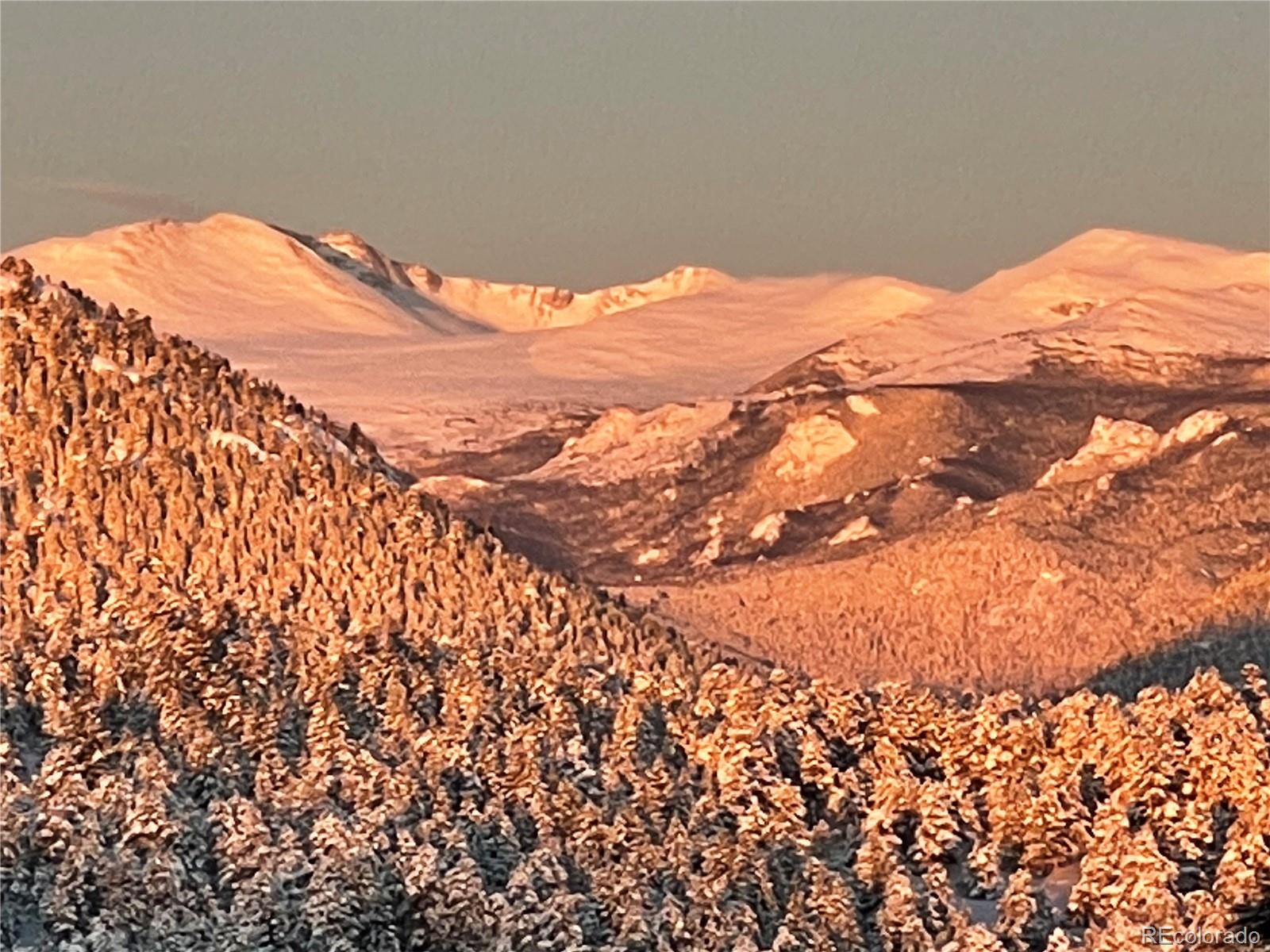 28843 Wild Rose Drive Evergreen, CO 80439 - Photo 35 of 37
