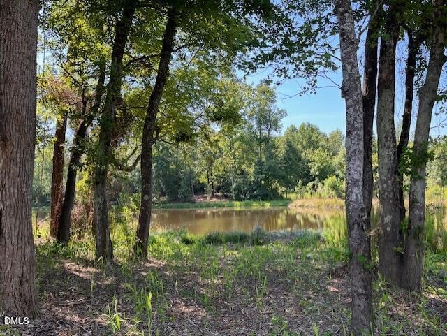 74 Cardovia Way Wendell, NC 27591 - Photo 31 of 34 Pool 4