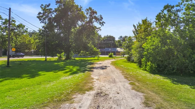 a view of a park with large trees