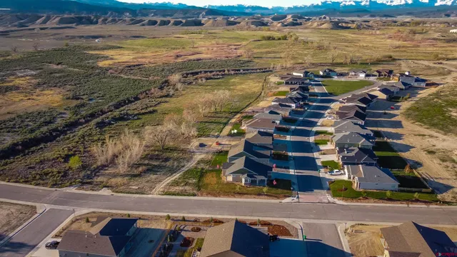 a view of a park with large trees