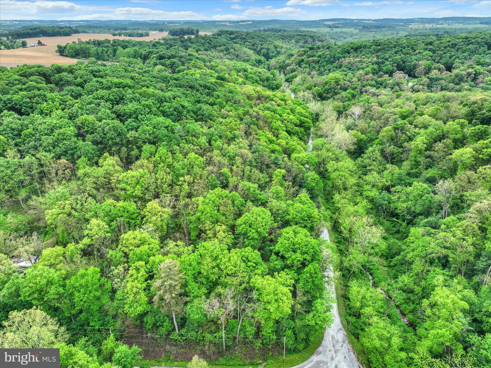 13127 Manor Furnace Road Brogue, PA 17309 - Photo 65 of 78 a view of a lush green forest