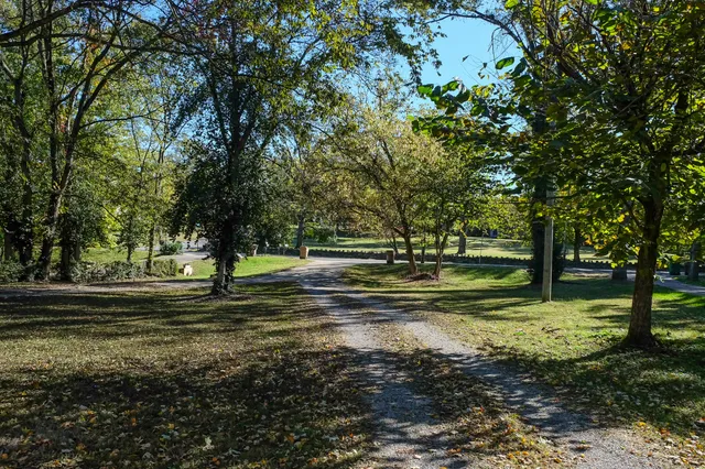 a view of a park with large trees