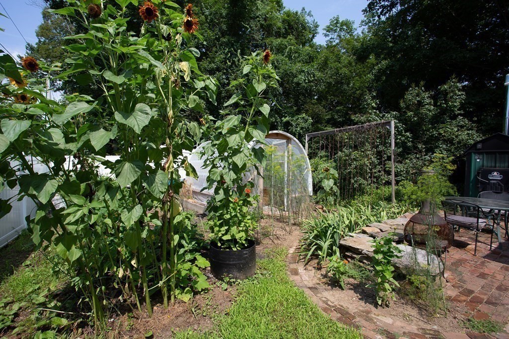 51 E Road Warren, MA 01083 - Photo 25 of 29 Gallery Image 25