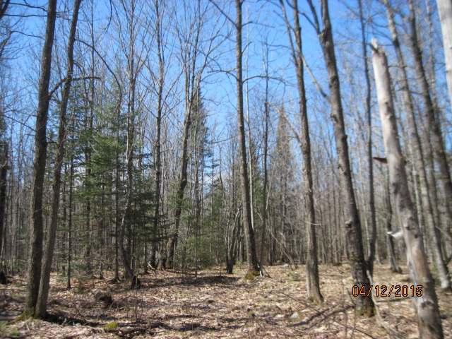 On Orchard Road Butternut, WI 54514 - Photo 5 of 20 Gallery Image 5
