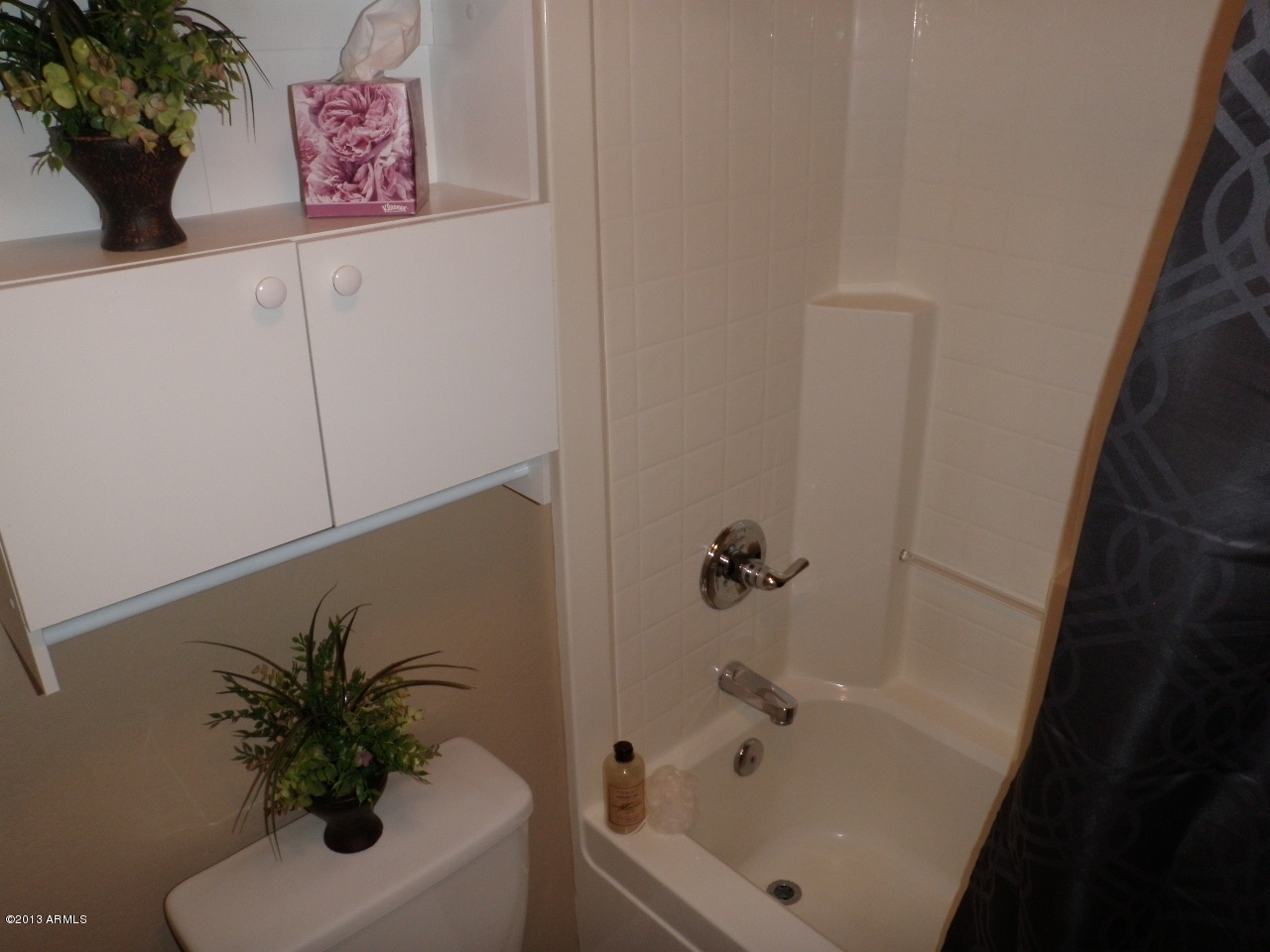 3672 South Martingale Road Gilbert, AZ 85297 - Photo 38 of 45 Bathroom 2 separate toilet/shower room