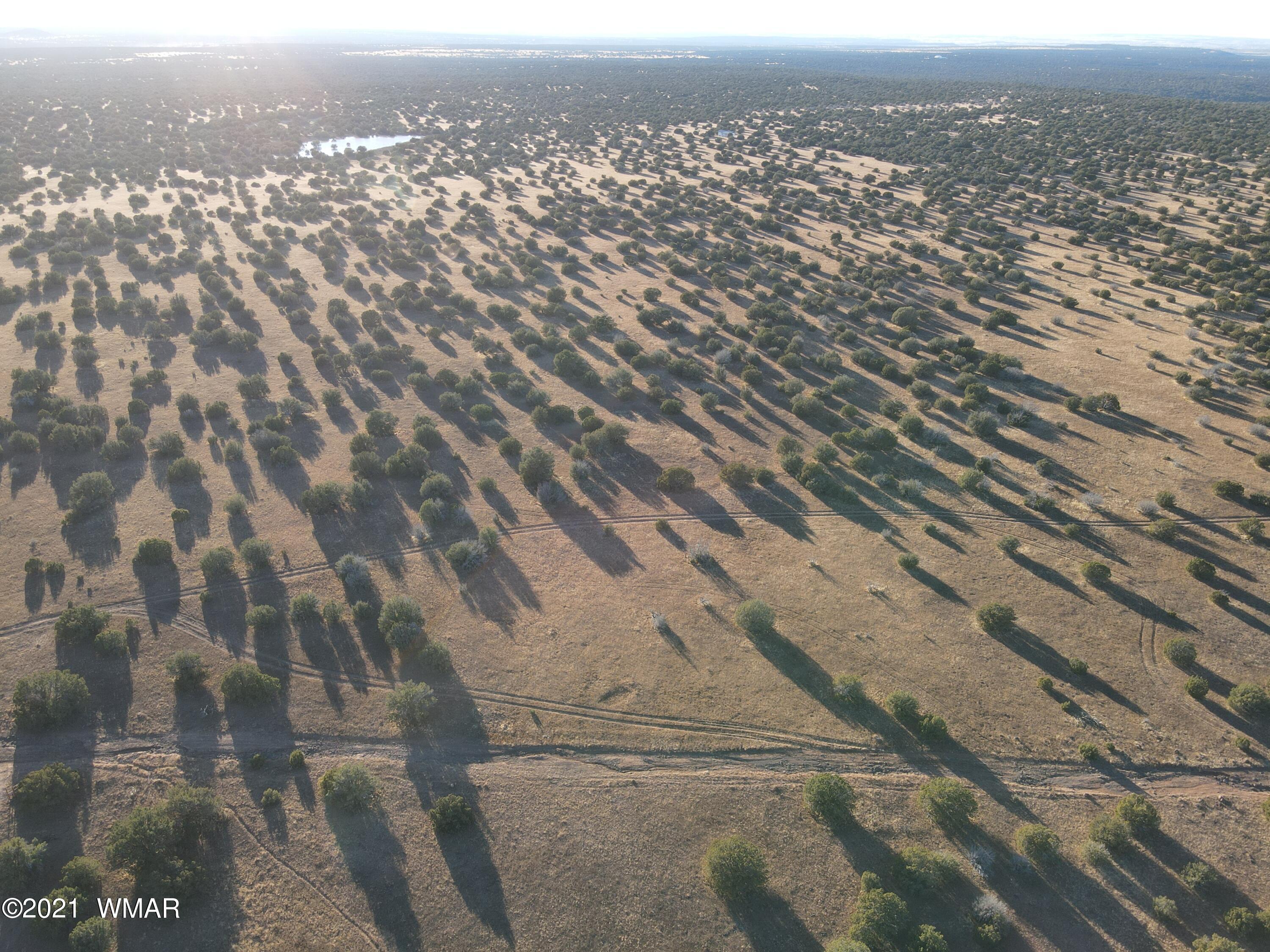 Tbd Antelope Road Show Low, AZ 85901 - Photo 5 of 7