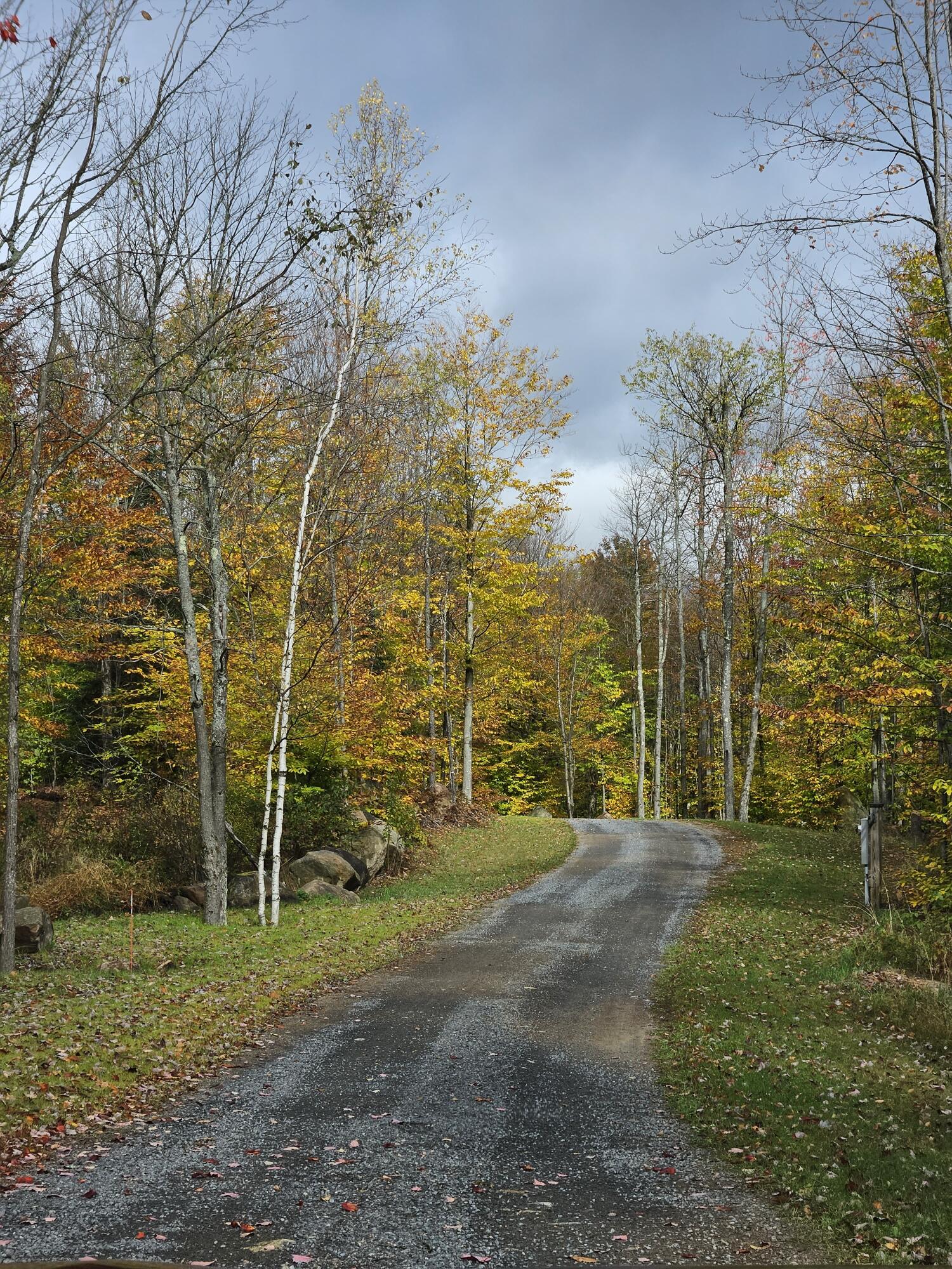58 Hewitt Road St. Regis Falls, NY 12980 - Photo 90 of 126