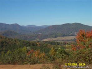 a view of a forest with mountains in the background