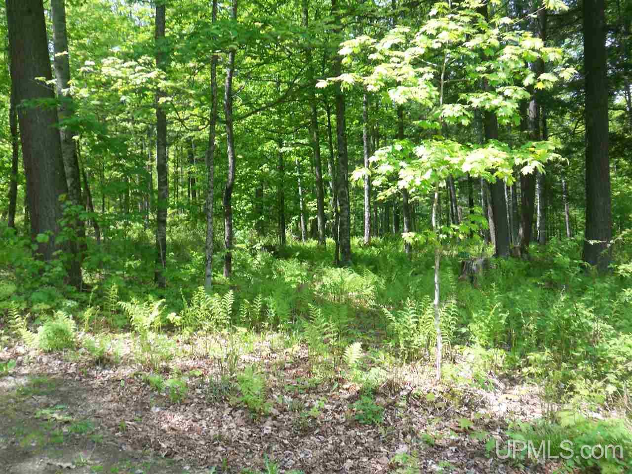 Tbd County H & Lafave Goodman, WI 54125 - Photo 1 of 1