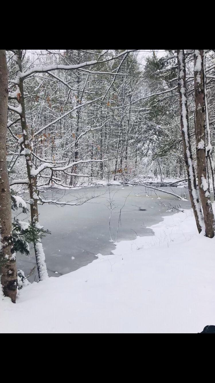 19 E Road North Berwick, ME 03906 - Photo 11 of 15 A55613C2-CA57-46BA-AD55-04D01DEC8852