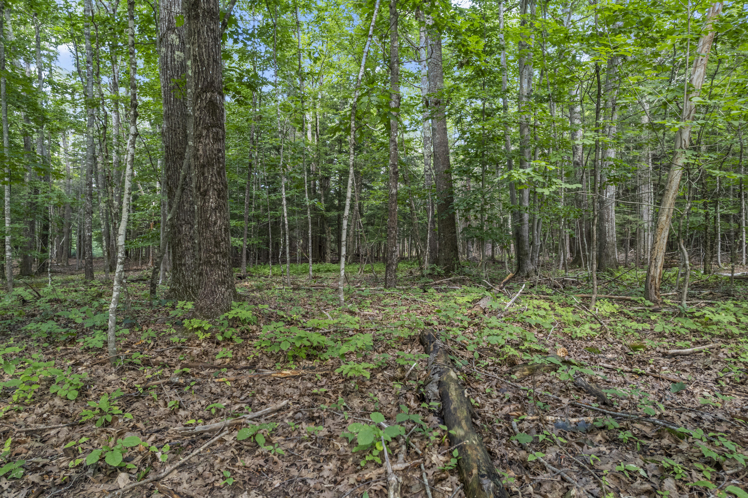 91 Millay Road Bowdoinham, ME 04008 - Photo 2 of 17 91 Millay Rd_115