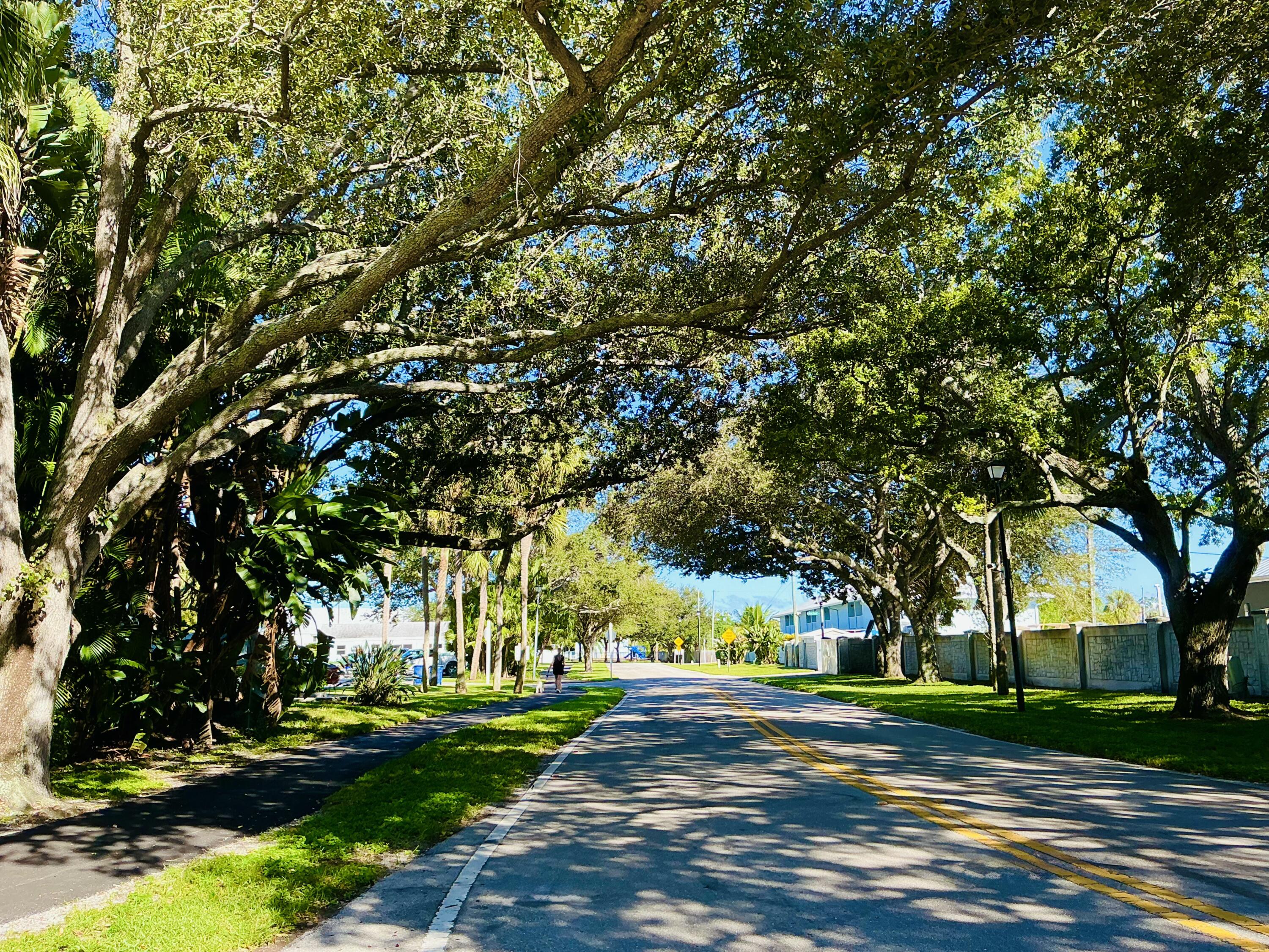 6262 Riverwalk Lane, Unit 3 Jupiter, FL 33458 - Photo 22 of 28 a big yard with large trees
