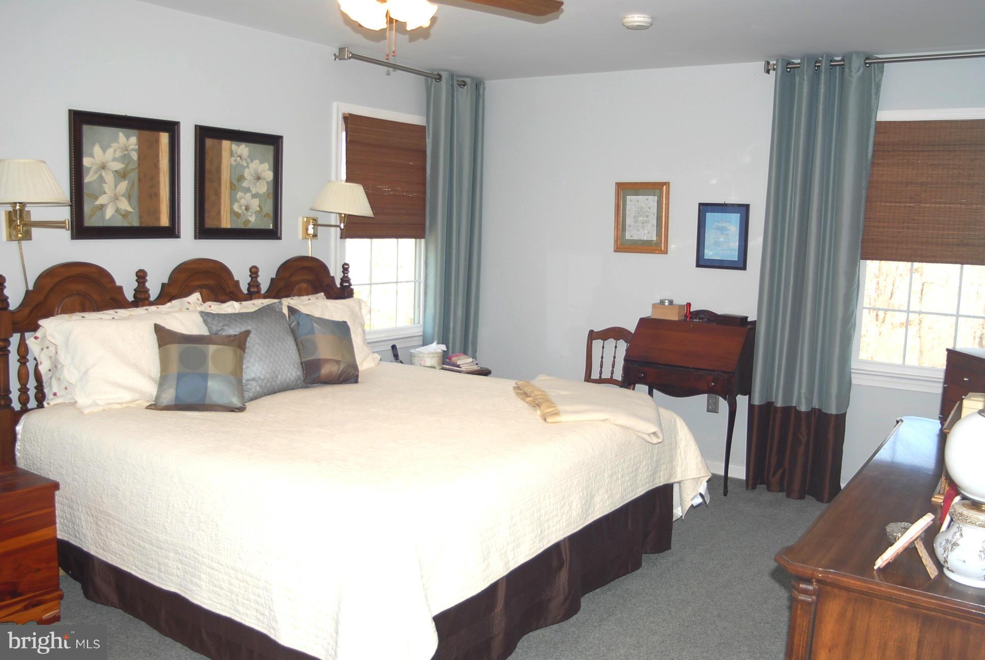 6208 Snow Mountain Road Broad Run, VA 20137 - Photo 25 of 29 Bedroom (Master)