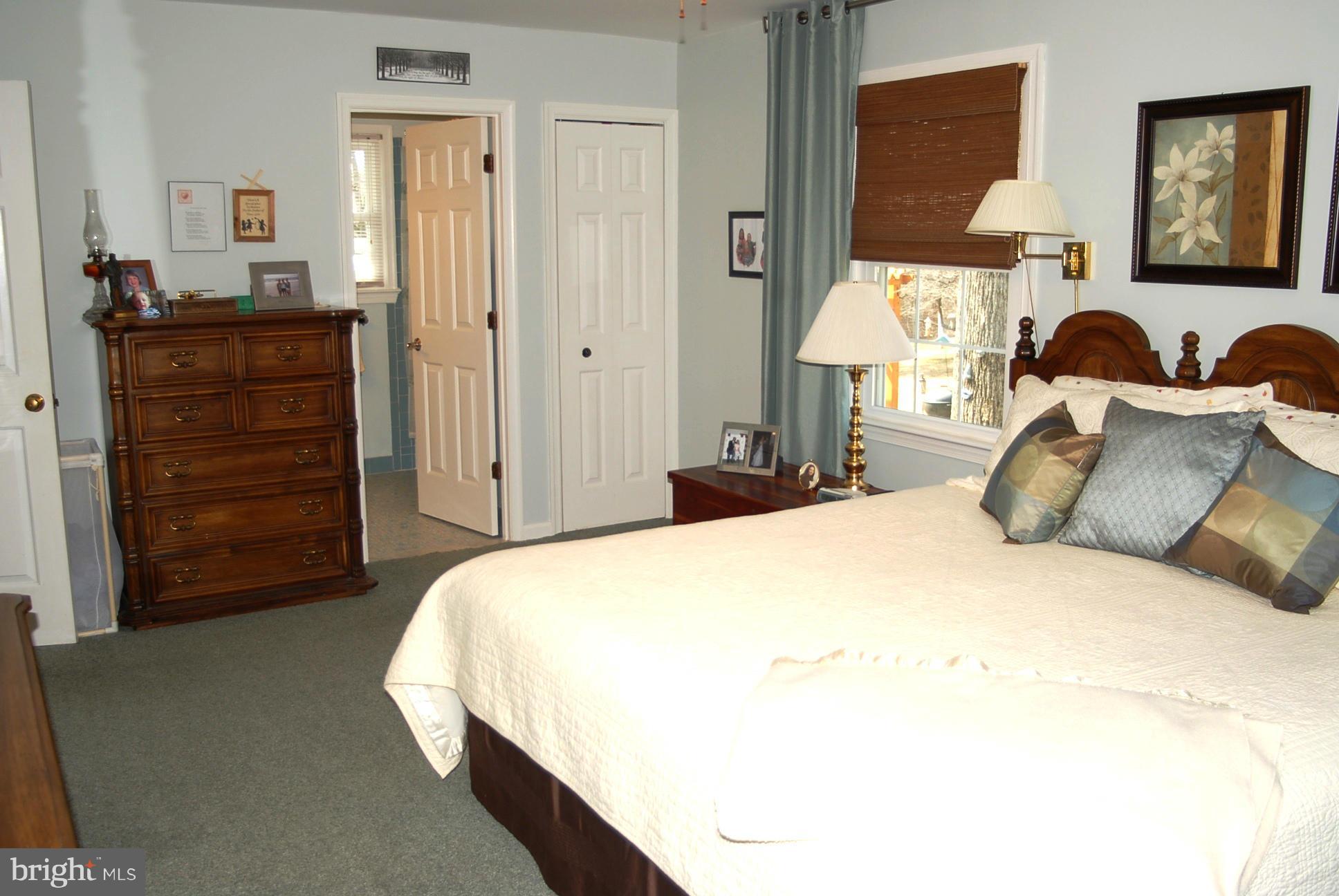 6208 Snow Mountain Road Broad Run, VA 20137 - Photo 26 of 29 Bedroom (Master)