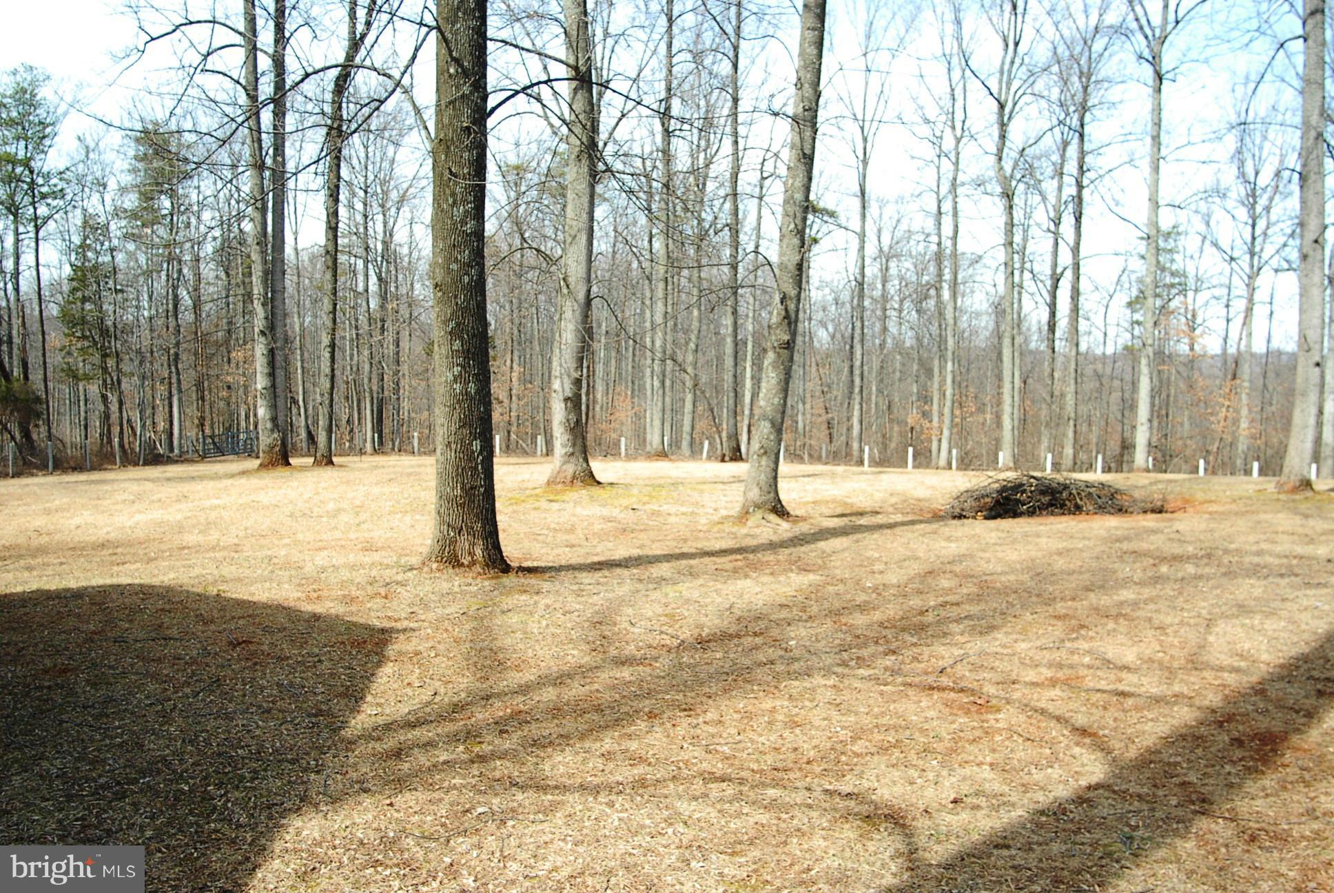 6208 Snow Mountain Road Broad Run, VA 20137 - Photo 5 of 29 pasture