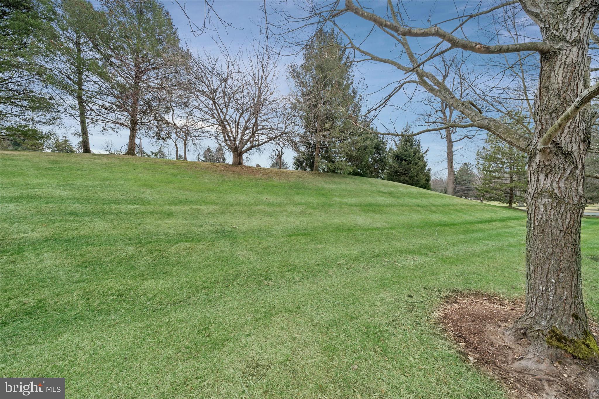 20 Hunters Way Glen Mills, PA 19342 - Photo 35 of 36 a view of a field with large trees