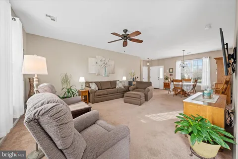 a living room with furniture potted plant and a window