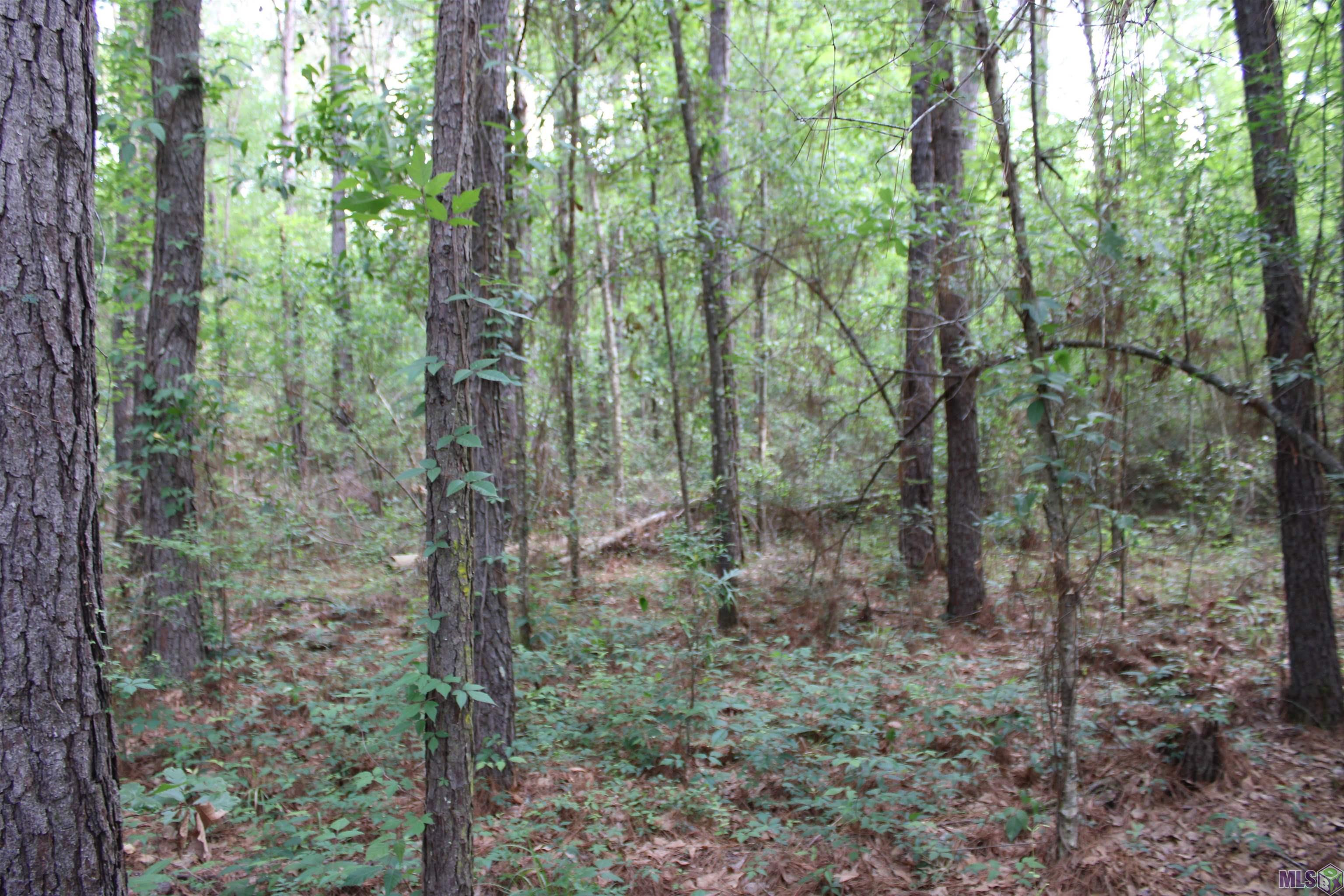Tbd Tbd Carpenters Landing Road Hammond, LA 70403 - Photo 1 of 28