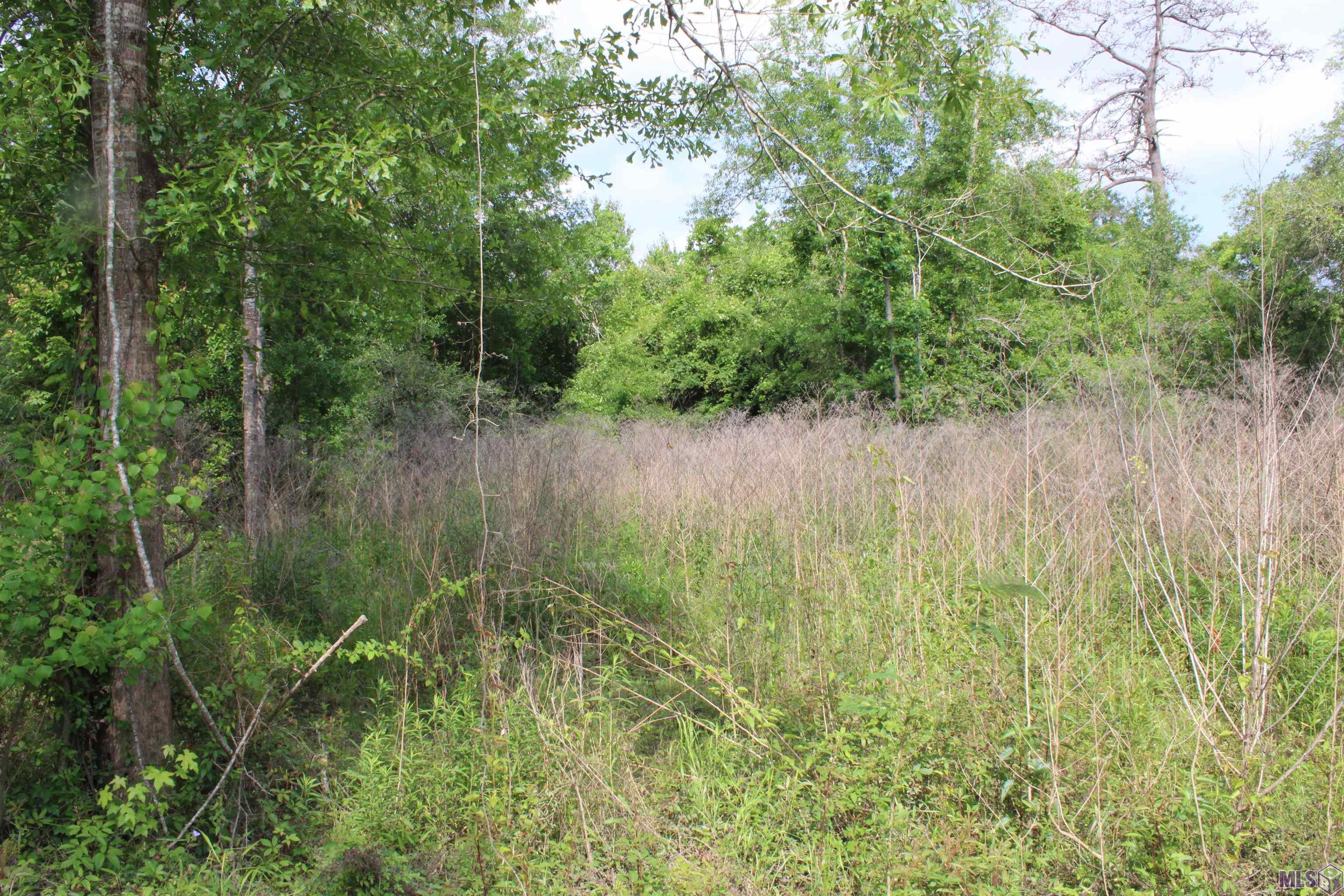 Tbd Tbd Carpenters Landing Road Hammond, LA 70403 - Photo 11 of 28