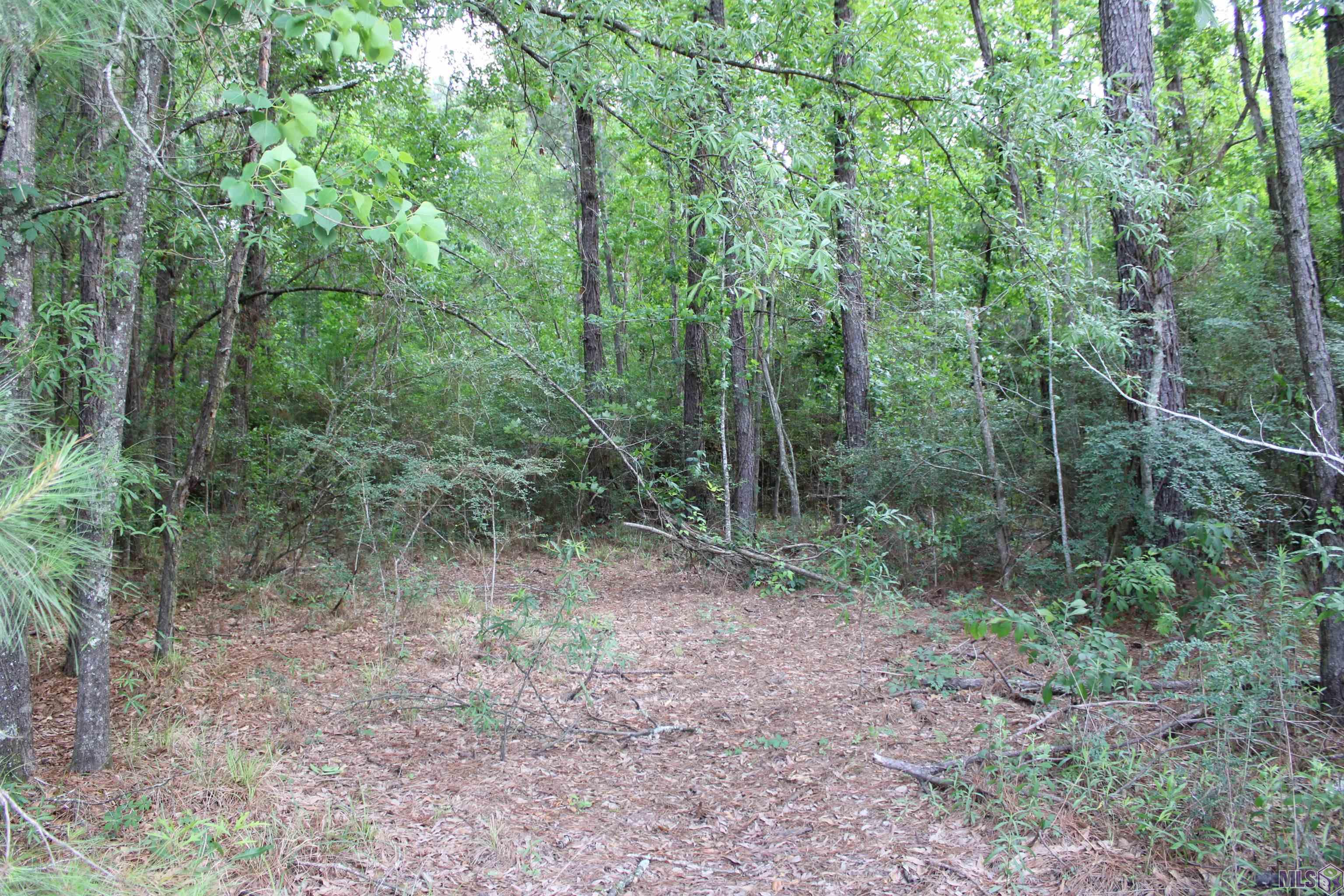 Tbd Tbd Carpenters Landing Road Hammond, LA 70403 - Photo 2 of 28