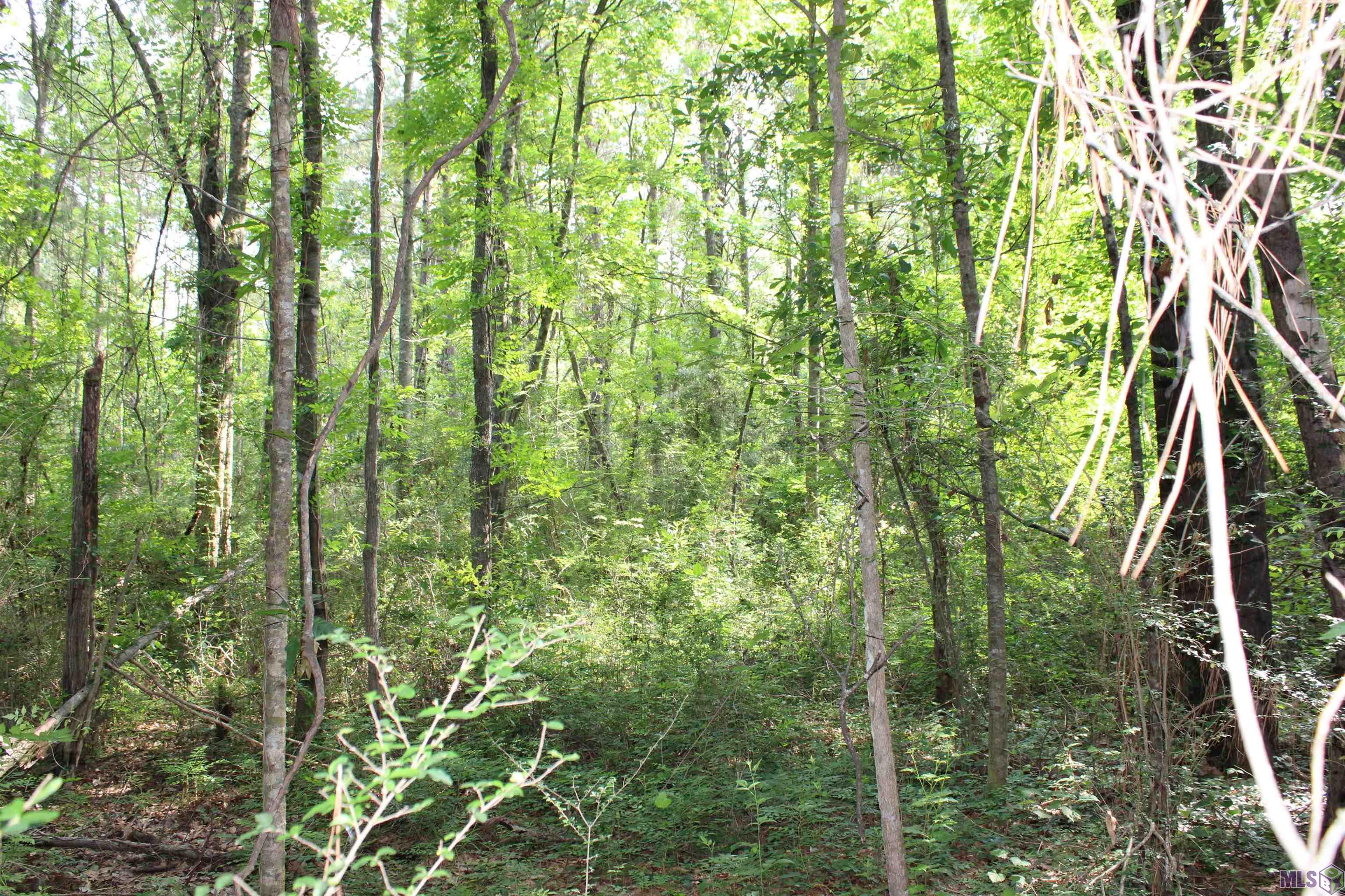 Tbd Tbd Carpenters Landing Road Hammond, LA 70403 - Photo 4 of 28