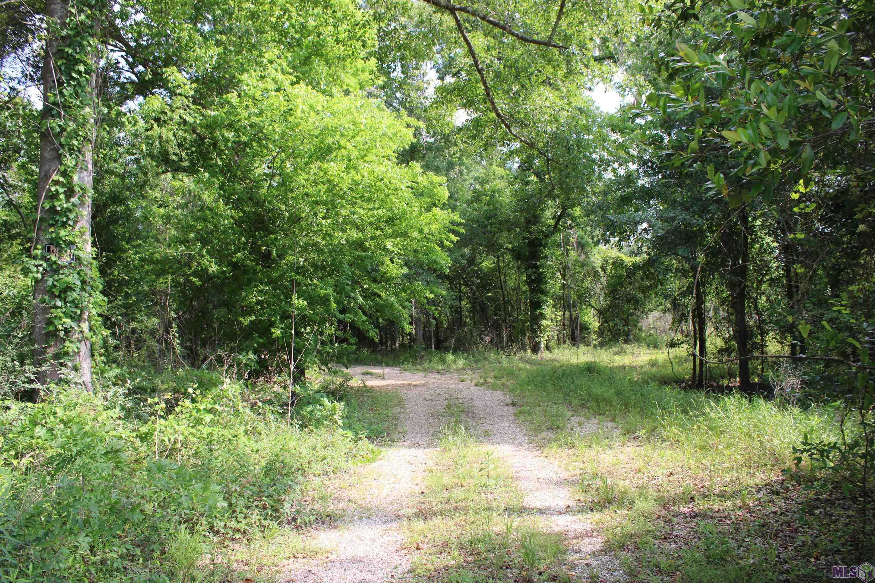 Tbd Tbd Carpenters Landing Road Hammond, LA 70403 - Photo 6 of 28