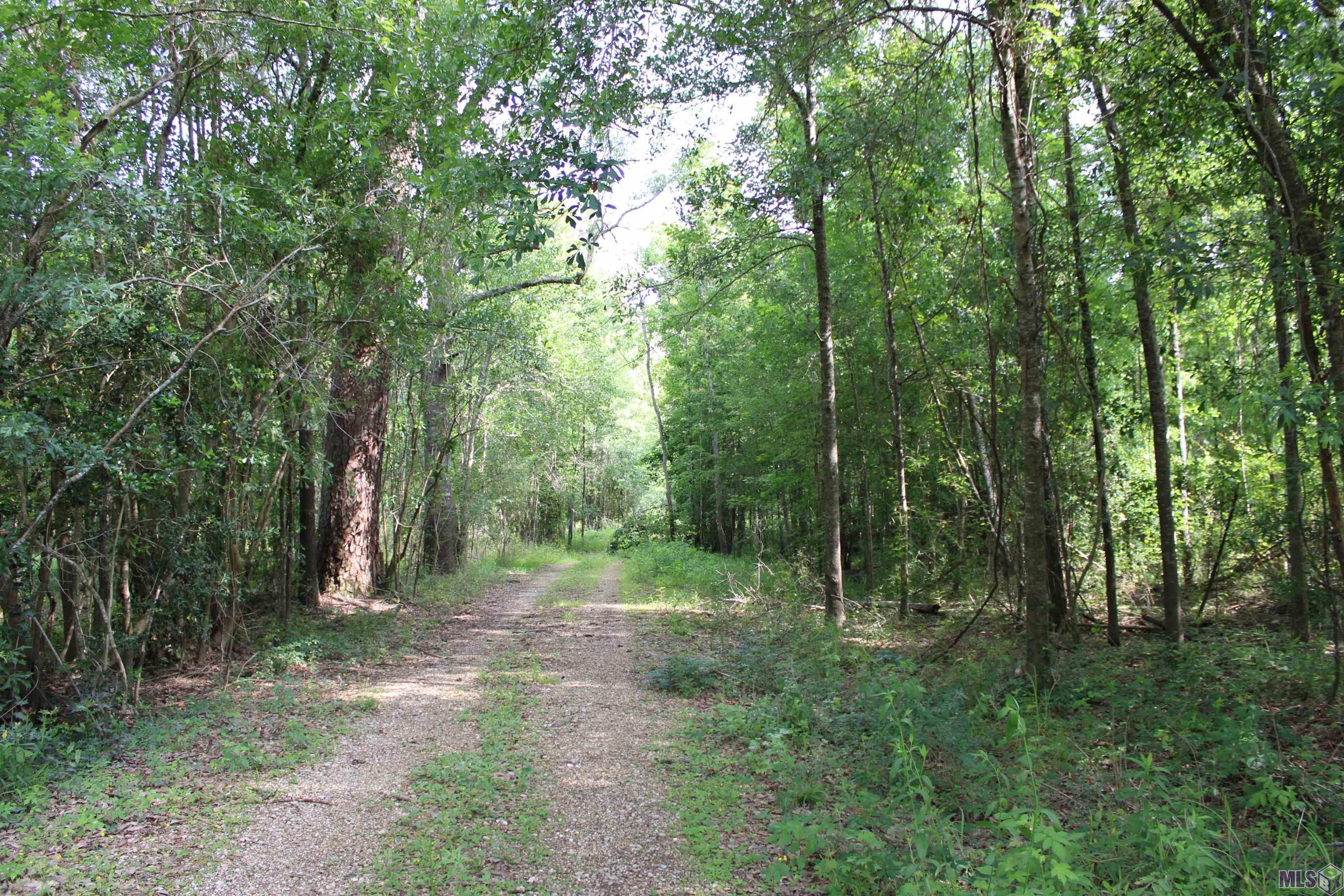 Tbd Tbd Carpenters Landing Road Hammond, LA 70403 - Photo 7 of 28