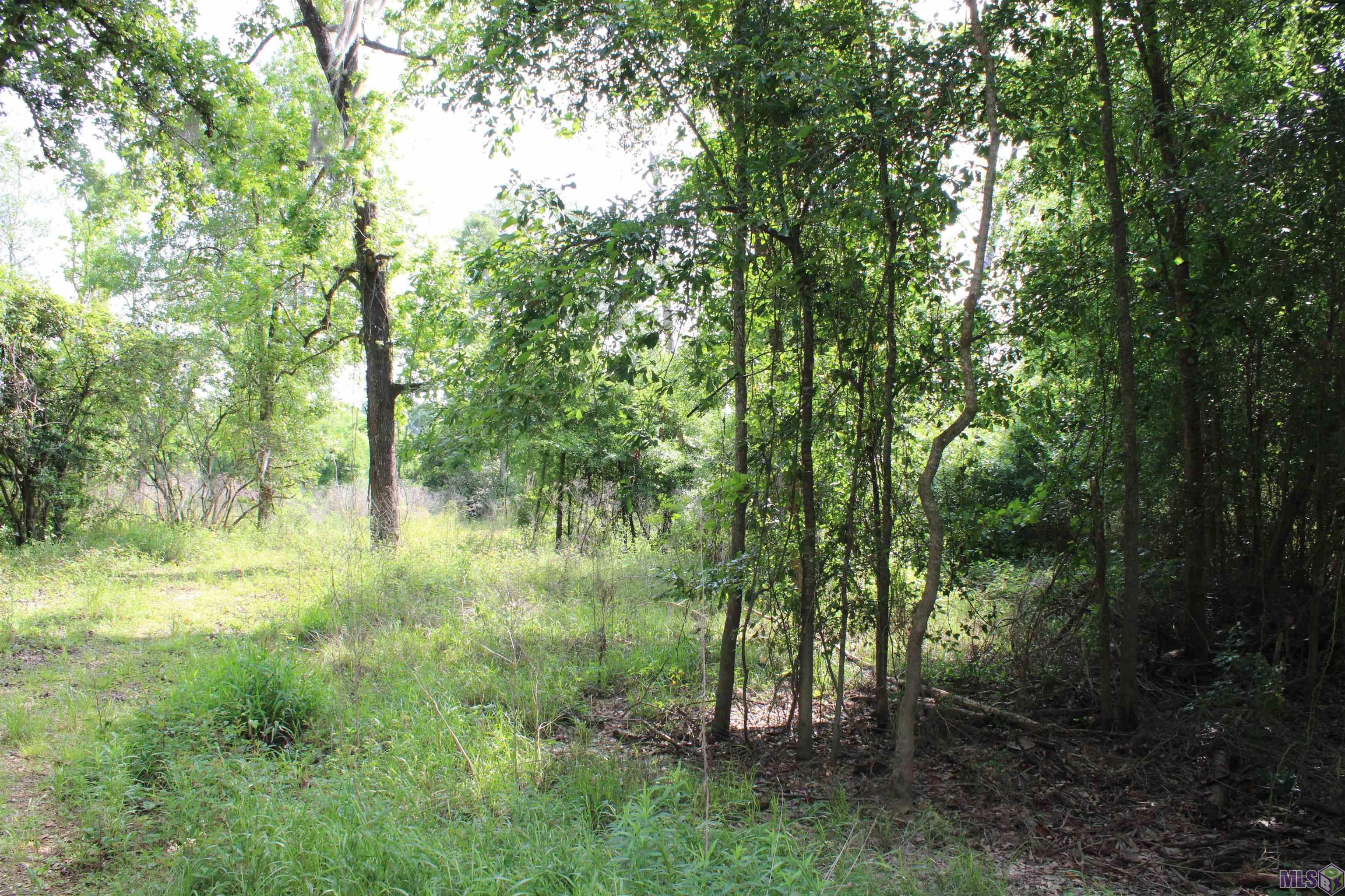Tbd Tbd Carpenters Landing Road Hammond, LA 70403 - Photo 8 of 28