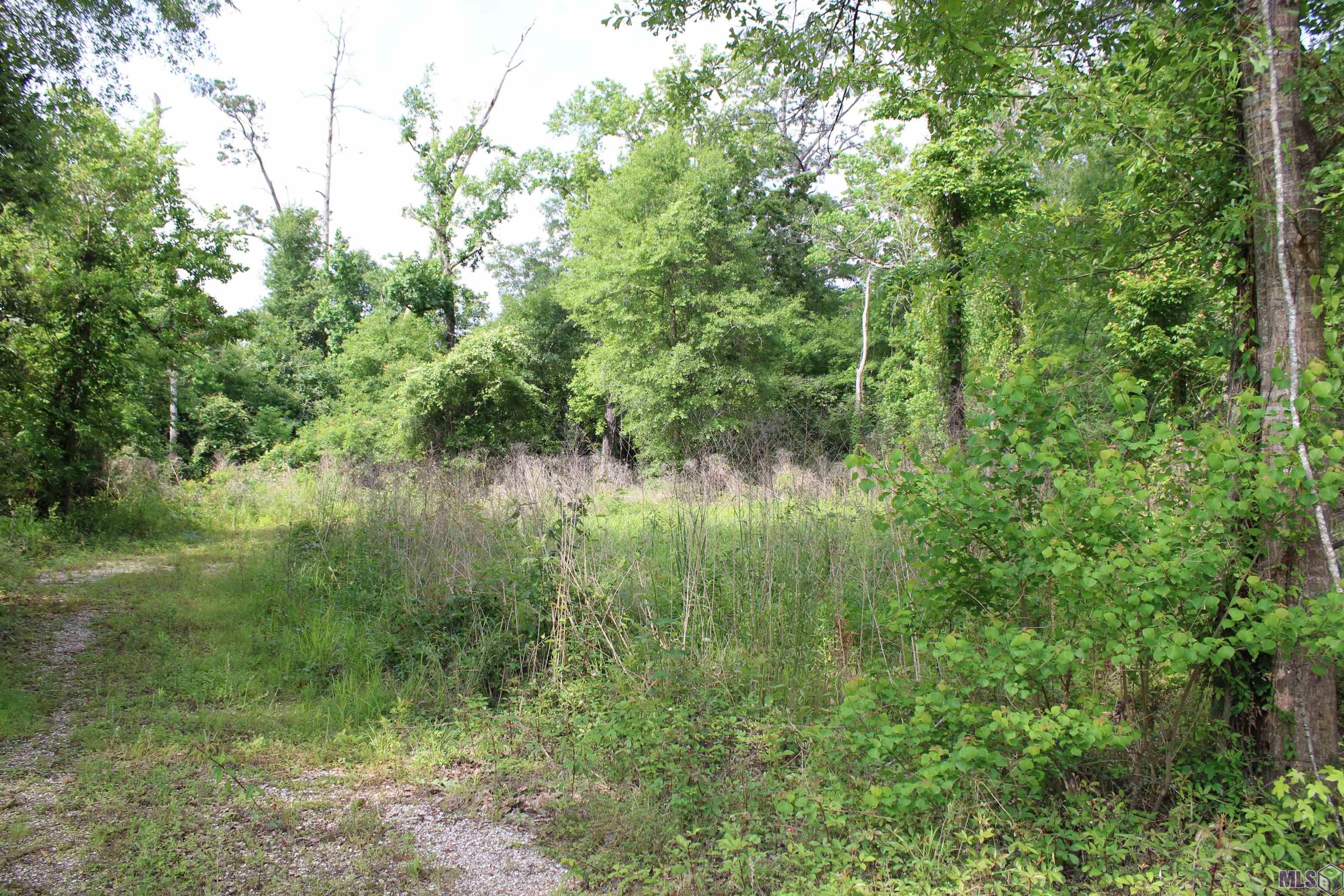 Tbd Tbd Carpenters Landing Road Hammond, LA 70403 - Photo 10 of 28