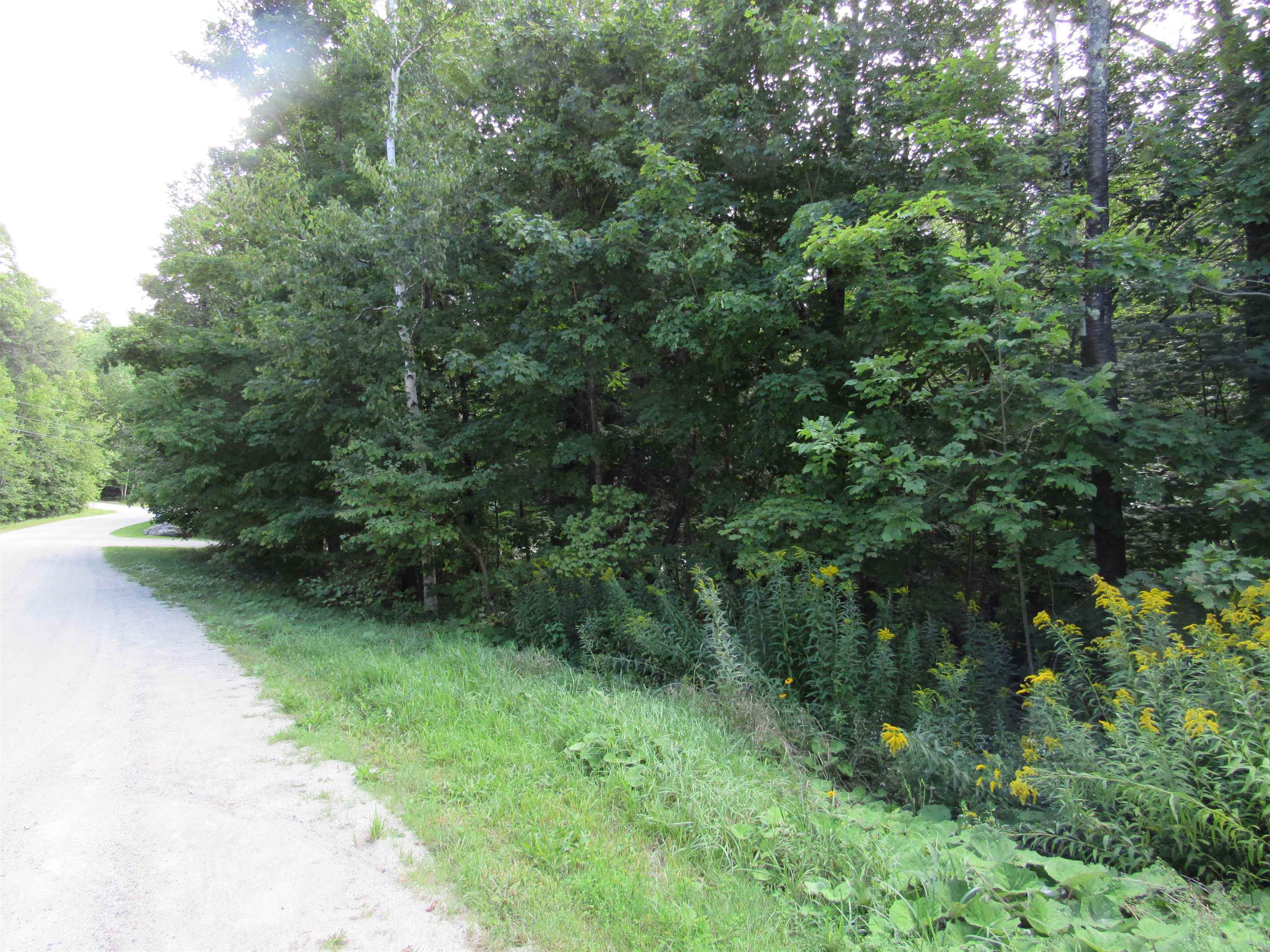 C20 R High Meadow Road, Unit C20R Winhall, VT 05340 - Photo 2 of 8