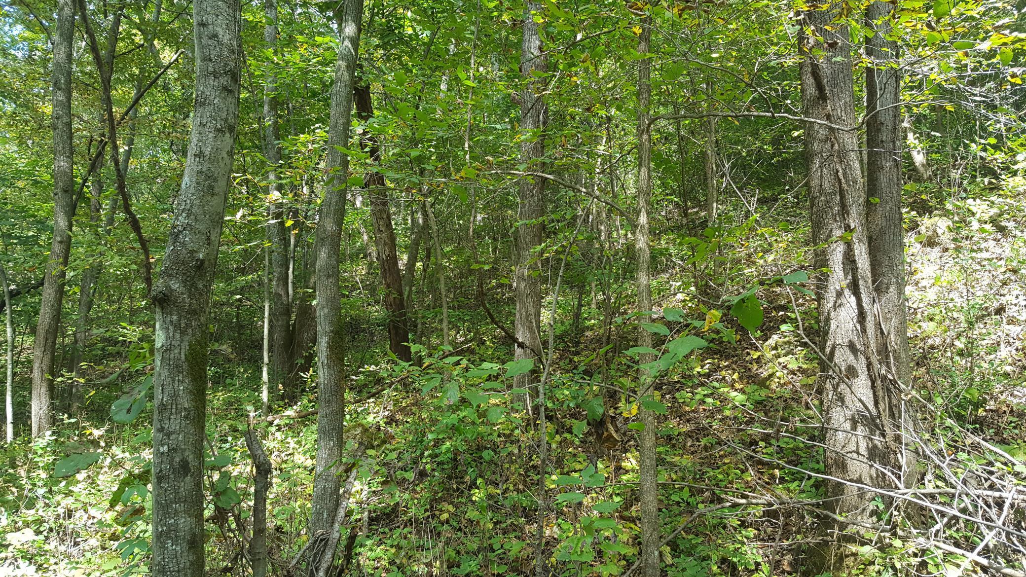 Xx East Burns Valley Road Winona, MN 55987 - Photo 1 of 1 Gallery Image 1