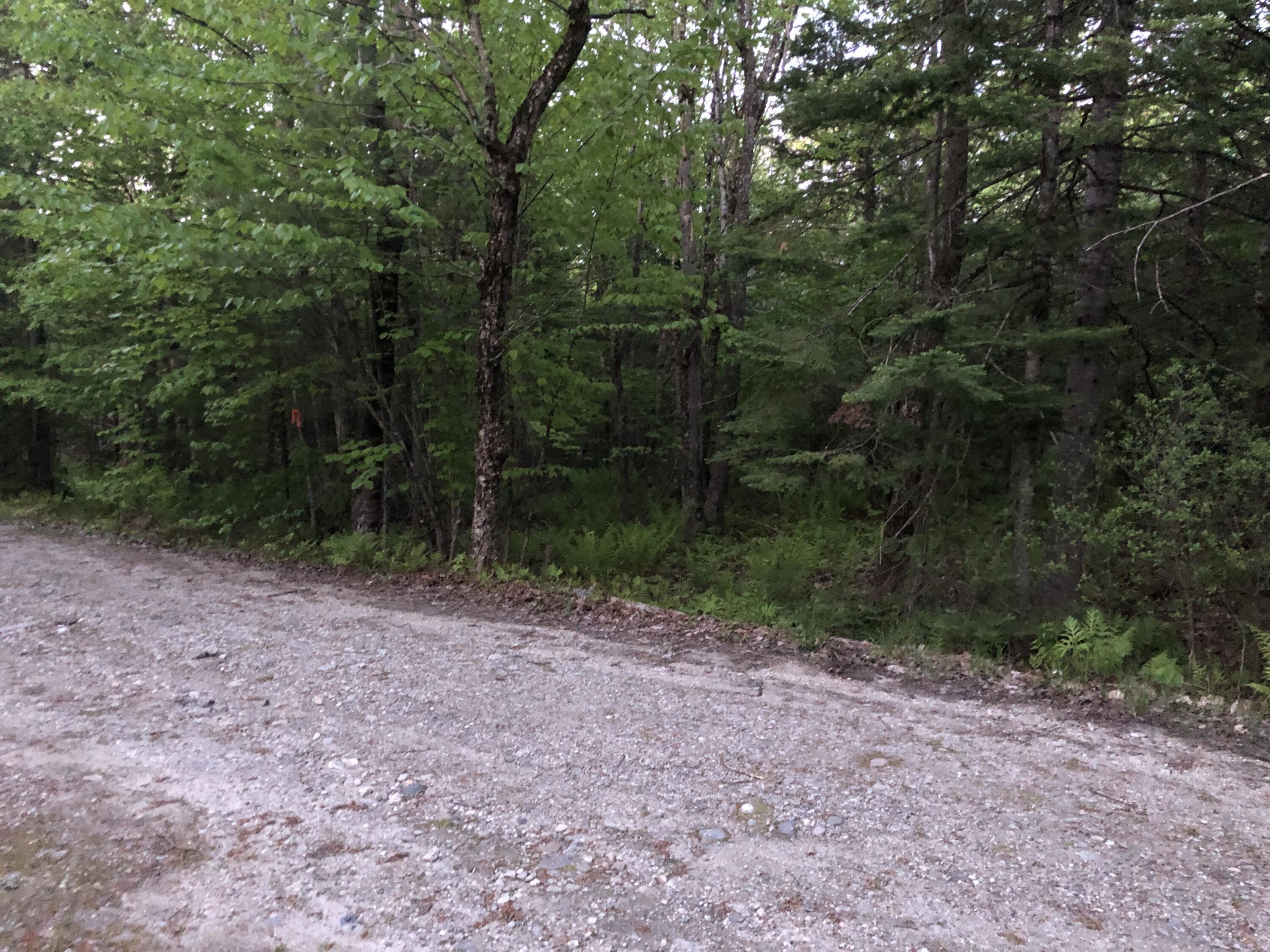 4-l 41 Benny Road Otisfield, ME 04270 - Photo 4 of 4 E65AACD5-4902-4537-8753-BF186AF2B34F