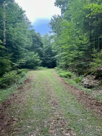 $115,000 | Tbd Railroad Road, Lanesville, NY 12450