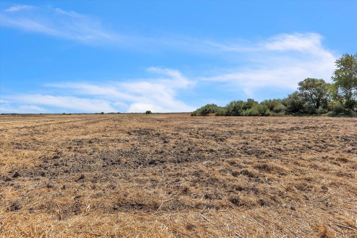 17057 State Highway Isleton, CA 95641 - Photo 69 of 88 Gallery Image 69