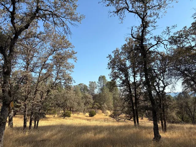 $399,000 | 12577 Brooktree Trail, Oregon House, CA 95962