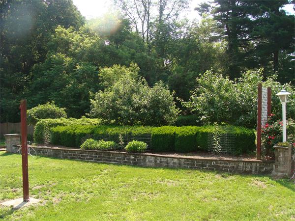 29 Whitmore Street Springfield, MA 01104 - Photo 11 of 30 Gallery Image 11